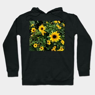 Bright yellow flowers in full bloom Hoodie